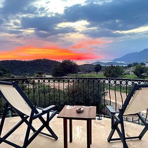 Ozy Houses - Lacitrus Villa&Hotel